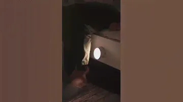 Съемный светодиодный ночник с датчиком движения